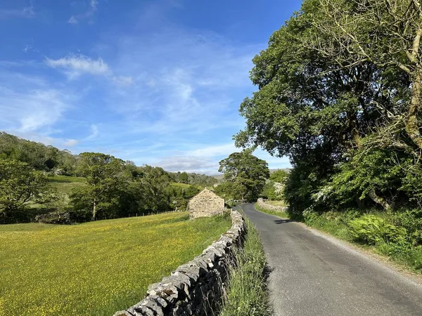 Yorkshire Dales kır manzarası, kuru taş duvarlar, eski ahırlar, yabani bitkiler ve yakınlardaki ağaçlar, Litton, Skipton, İngiltere