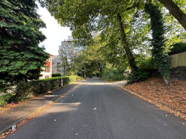 Manningham 'da meşe bulvarı, dağınık yapraklar, çitler ve İngiltere' nin Bradford kentindeki binalar.