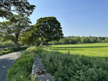 Güneşli bir günde İngiltere 'nin Leyburn şehrinde taştan duvarlar, yabani bitkiler, tarlalar ve ağaçlarla birlikte Eshington Yolu boyunca manzara bölündü.