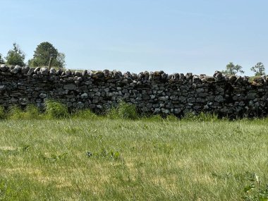 Kır manzarası, yabani otlar, ve kuru bir taş duvar, mavi gökyüzüne karşı kurulmuş, Rakes, Threshfield, İngiltere