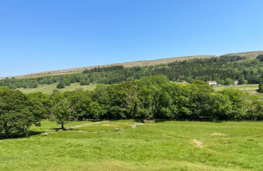 Yorkshire Dales kırsal arazisi, geniş tarlaları, eski ağaçları, çiftlikleri ve Kilnsey, İngiltere 'deki uzak tepeleri ile