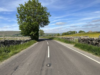 Mossy Lane 'e bakın, kuru taş duvarlar, yabani bitkiler, tarlalar ve uzak tepeler, Gayle, Hawes, İngiltere