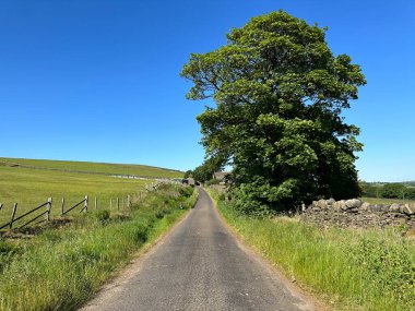 Beeston Hurst yakınlarındaki kırsal alan, çimen kenarları, yabani bitkiler, kuru taş duvarlar, ve Ripponden, İngiltere 'de mavi bir gökyüzü