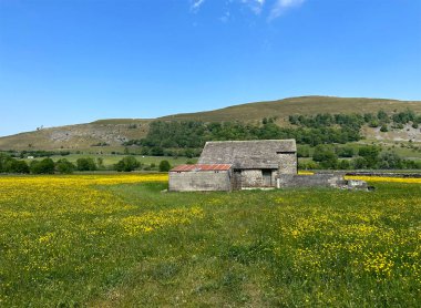 Eski Yorkshire taştan ahırı, etrafı çimler, yabani çiçekler ve ufukta tepeler olan kuru taş duvarlarla çevrili, Buckden, İngiltere