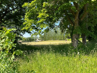 Manzara manzarası, eski ağaçlar arasında, biçilmiş bir tarlası, yabani bitkileri ve uzak evleri olan, Moor Top, Dewsbury, İngiltere