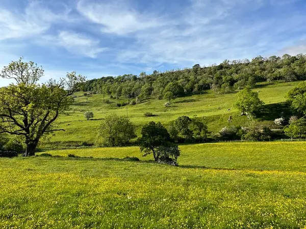 İngiltere 'nin Deepdale kentindeki Yorkshire Dales' in göbeğinde tarlaları, yabani bitkileri, eski ağaçları ve tepeleri olan kırsal alan.