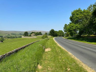 Wood Lane 'in yan tarafındaki tarlalar, eski ağaçlar ve Leyburn, İngiltere yakınlarındaki uzak tepeler manzaralı.