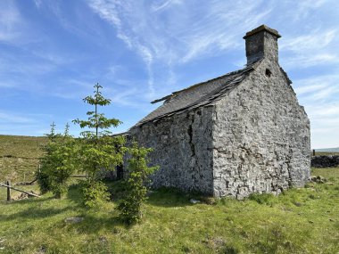 Eski terk edilmiş taş ahır, yabani otlar, küçük ağaçlar ve İngiltere 'nin Ingleton yakınlarındaki bataklıklar.