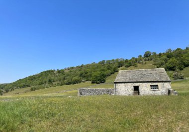 Yorkshire Dales manzarası, açık alanlar, yabani bitkiler, eski bir taş ahır, yakınında ağaçlar ve tepeler olan, Kettlewell, İngiltere