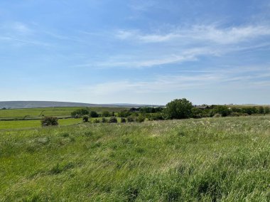 Geniş kırsal alan, yabani otlar, uzak tarlalar, çiftlikler ve yakın tepeler, Clapham, İngiltere