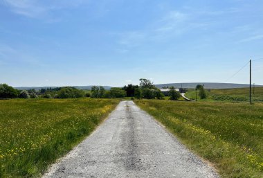 Road leading to a farm, with wild flowers, trees, and moorland in, Clapham cum Newby, UK