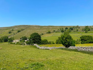 Yorkshire Dales manzarası, tarlaları, yabani çiçekleri, kuru taş duvarları ve yakınındaki taş kulübeleri, Buckden Köprüsü, Buckden, İngiltere