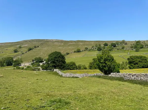 Yorkshire Dales manzarası, tarlaları, yabani çiçekleri, kuru taş duvarları ve yakınındaki taş kulübeleri, Buckden Köprüsü, Buckden, İngiltere