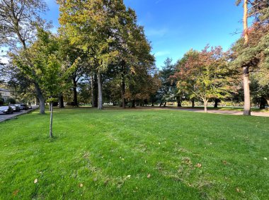 Sonbaharın başlarında, eski ağaçlar, otlaklar, bir patika ve mavi gökyüzü, Lister Park, Bradford, İngiltere