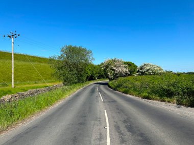 Güneşli bir günde Hawksworth, İngiltere 'de kuru taş duvarlar, yabani bitkiler, çalılar ve ağaçlarla birlikte Goose Lane' e bakın.