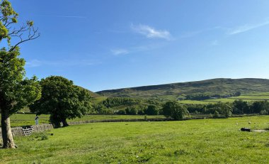 Kırsal alan, geniş tarlalar, kuru taş duvarlar, çiftlikler ve tepeler, Mankinholes Bank, Todmorden, İngiltere