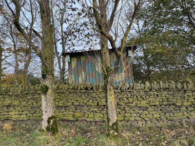 Sonbahar sahnesi, ağaçlar, kuru bir taş duvar, ve eski bir kulübe, Fishbeck Lane, Silsden, İngiltere 'ye yakın.