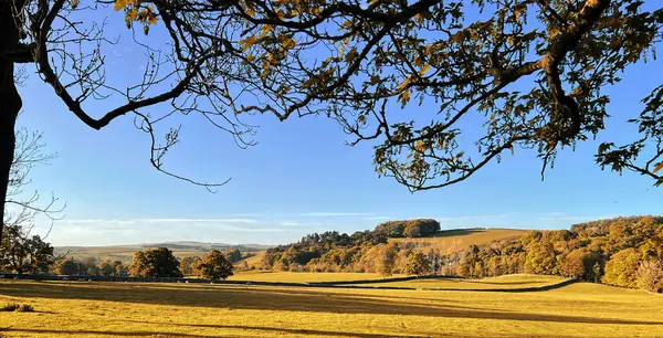 Jesień Yorkshire Dales Łagodnie Zwijanych Wzgórz Późnym Wieczorem Cienie Stare Obrazek Stockowy