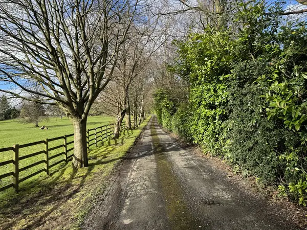 英国约克郡戈默萨尔市 一条修长的乡间小路 两边都是木制篱笆 绿树成荫 没有叶子的树木点缀着阴影 免版税图库图片