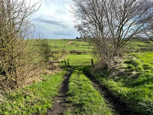 在英国约克郡下怀克 冬季晚些时候 一条由长满青草的河岸构成的土路通到一片多云的天空下的围栏地带 图库照片