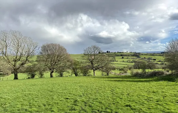 在英国约克郡下怀克 冬季的风景展现了绿色的田野 笼罩在乌云密布的天空下 光秃秃的树木和翻滚的小山造就了一片牧草的景象 免版税图库图片