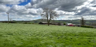 Bahar günü, yapraksız bir ağaca doğru uzanan yeşil bir tarla bulutlu bir gökyüzünün altında, Silsden, Yorkshire, İngiltere yakınlarındaki yuvarlanan tepelerin ve çiftlik binalarının zemininde tek başına duruyor.