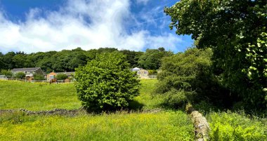 Kırsal bir manzara, açık bir gökyüzünün altında güneşle yıkanır. Kuru bir taş duvar, ağaçların arasında, Milnsbridge, Huddersfield, İngiltere 'de bulunan bir evin bulunduğu bir çayırda sallanır..