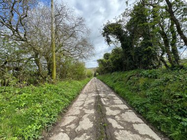 Eski, çatlamış beton bir yol dümdüz uzanır, yemyeşil bitki ve ağaçlarla çevrili, bulutlu gökyüzü, İngiltere 'nin Silsden kentindeki barışçıl kırsal manzaraya kasvetli bir atmosfer ekler.