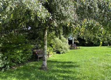 Güneş ışığı, küçük bir ağacın yemyeşil yapraklarını süzerek yeşil çimlerin üzerine gölgeler ve İngiltere 'de Ilkley, Yorkshire' da bulunan sakin bir parkta iki ahşap bank oluşturur.