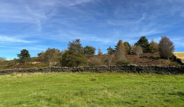 Bereketli yeşil bir tarla, arkasında parlak mavi bir gökyüzünün altındaki ağaçlardan oluşan bir çizgi bulunan eski bir taş duvarla sınırlıdır. Manzara huzurlu bir kırsal cazibe yayıyor, yukarıdaki kırsal kesimde, Keighley, İngiltere.