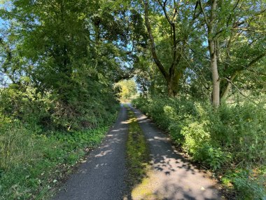 Ağaçların arasından süzülen güneş ışığıyla lekelenmiş yemyeşil bir ormanda eski bir araba rayı esiyor. Uzun bitki örtüsü yolu kaplıyor, sakin ve tenha bir atmosfer yaratıyor, Elslack, İngiltere