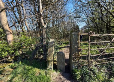 Güneş ışığı ağaçların arasından süzülüp yeşilliklerle kaplı manzaralı bir kırsal yol boyunca ilerler. Taştan bir stil ve metal kapı İngiltere 'nin Illingworth kentindeki Beechwood Park' taki kırsal araziden geçişi sağlar.