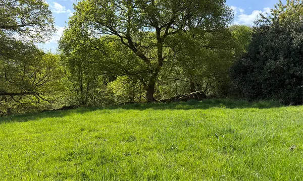 Güneşli bir günde yemyeşil bir çayır ağaçların altında yayılır. Sahne sakin, güneş ışığı Cullingworth, İngiltere yakınlarındaki Great Northern Demiryolu Patikası 'ndaki yaprakların arasından süzülüyor.