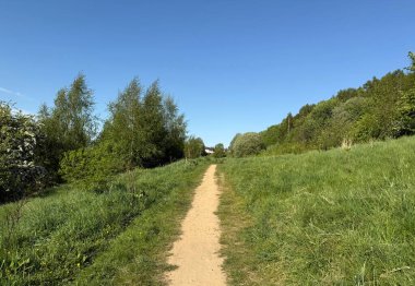 Bereketli yeşil çimenlerin ve açık mavi gökyüzünün altındaki yapraklı ağaçların arasından kirli bir yol esiyor. İzler, Wrose, Shipley, İngiltere yakınlarındaki bir huzur ve keşif duygusunu çağrıştırıyor.