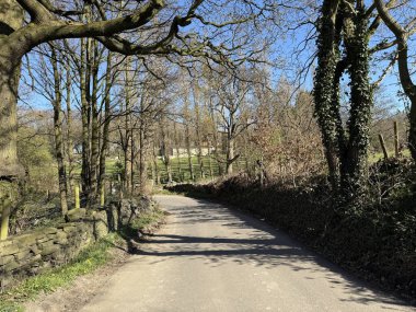 Paul Lane, berrak mavi bir gökyüzünün altında çıplak ağaçlarla çevrili sakin bir manzarayı kesiyor. Güneş ışığı dalların arasından süzülüyor, yolda hafif gölgeler bırakıyor, Colne Köprüsü, Mirfield, İngiltere