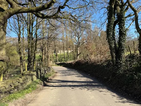 Paul Lane, berrak mavi bir gökyüzünün altında çıplak ağaçlarla çevrili sakin bir manzarayı kesiyor. Güneş ışığı dalların arasından süzülüyor, yolda hafif gölgeler bırakıyor, Colne Köprüsü, Mirfield, İngiltere