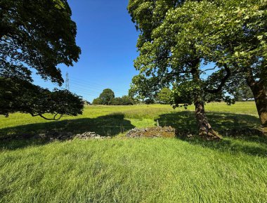 Berrak mavi gökyüzünün altında yemyeşil alanlar uzanır. Çerçevelenmiş olgun ağaçlar yerde güçlü gölgeler bırakır. Coley Road, Hipperholme, İngiltere yakınlarındaki arazide alçak bir taş duvar var.