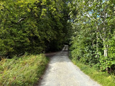 Yıpranmış bir patika, yarım yamalak hatırlanan bir melodi gibi ormanda sürüklenir. Güneş ışığının bir zamanlar çaldığı yerde yeşil ışık yanıp sönüyor ve sessizlik Harden Road, Bingley, Yorkshire, İngiltere yakınlarındaki ayak seslerini anımsıyor.