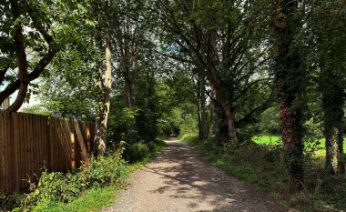 Silkstone ormanlarında gölgeli bir patika, solan güneşle lekelenmiş, zaman aşımına uğramış kerestelerle çevrili ve Barnsley, Yorkshire, İngiltere yakınlarındaki yazın sessizliği.