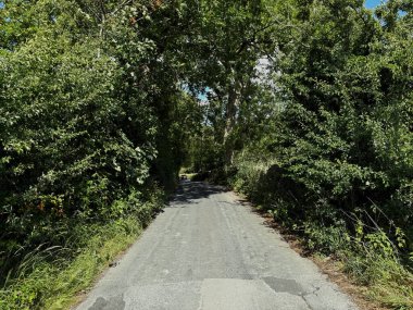 Eski ağaçlardan oluşan yapraklı bir tünel Bents Lane 'de. Güneş ışığı gölgelerin arasından süzülerek Wilsden, Yorkshire, İngiltere 'de parlak bir ufka doğru giderken sessiz şeritte gölgeler oluşturur.