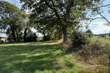 Büyük meşe ağaçlarıyla çevrili, güneş ışığıyla yıkanmış sakin bir çayır. Çimler yemyeşil ve berrak mavi gökyüzü ile çelişiyor, Wilsden, Yorkshire, İngiltere