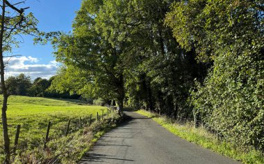 Cocking Lane yemyeşil çayırlarda ve sık ormanlarda esiyor. Güneş ışığı gölgelerin arasından süzülerek yol boyunca gölgeler oluşturur ve Ilkley, Yorkshire yakınlarında sakin bir manzara oluşturur..