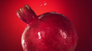 Yavaş Çekimde Lemon 'un Beyaz Arkaplanda Uçuşu. Yüksek kalite 4k görüntü