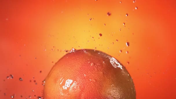 Flying Grapefruit Slices Orange Background Imágenes Alta Calidad — Vídeo de stock