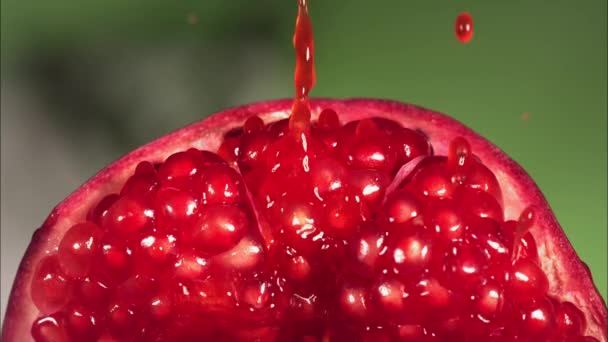 Slow Motion Macro Shot Flowing Pomegranate Juice Από Φέτα Ροδιού — Αρχείο Βίντεο