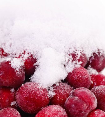 Grup beyaz zemin üzerine donmuş kiraz.