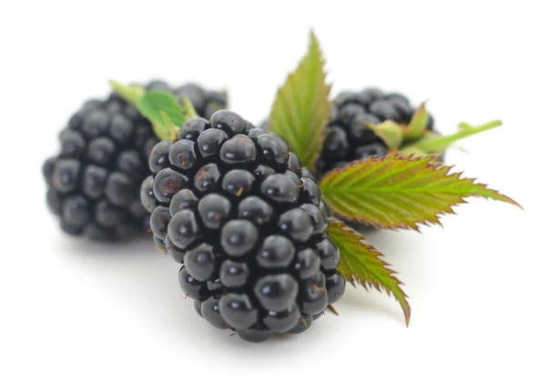 Closeup Shot Fresh Blackberries Isolated White Background Stock Picture