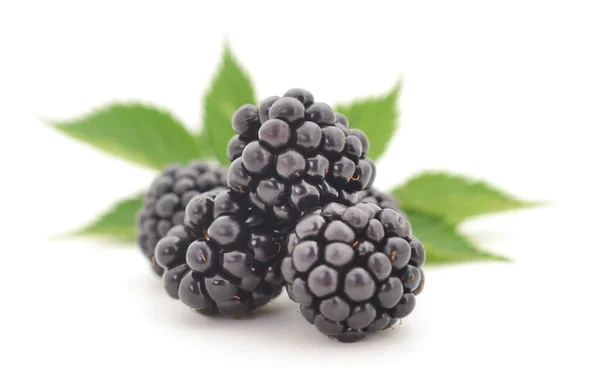 Closeup Shot Fresh Blackberries Isolated White Background — Stock Photo, Image