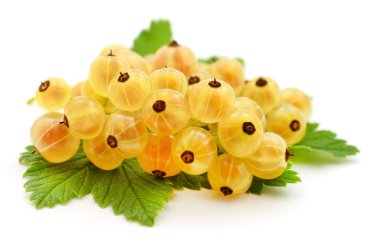 Beyaz arka planda yeşil yapraklı üzümler.