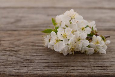 Ahşap arka planda beyaz kiraz çiçekleri.